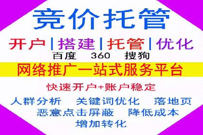 行业标杆：SEM托管公司案例解析